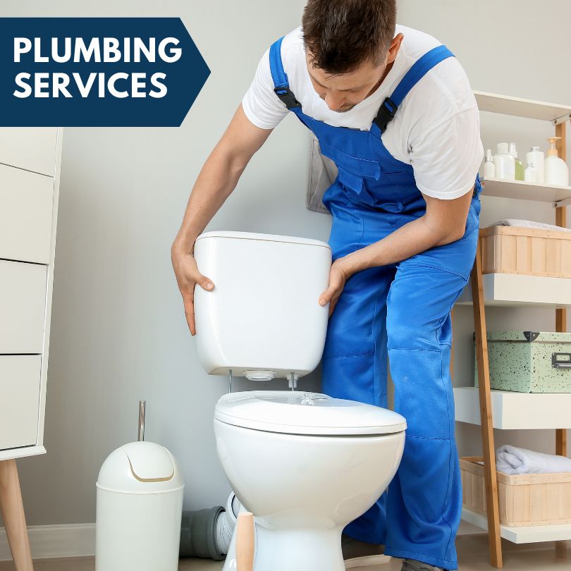 Plumbing Company in Welton, IA